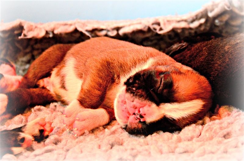 Felix, 1 week